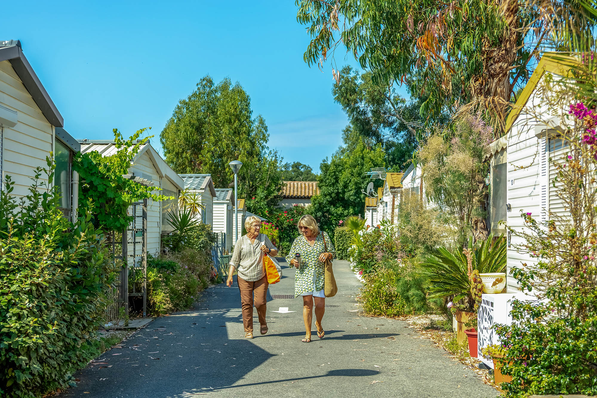 privacy policy camping les fontetes hyeres